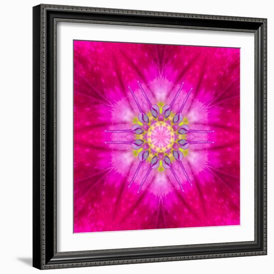 Purple Concentric Flower Center: Mandala Kaleidoscopic Design-tr3gi-Framed Premium Giclee Print