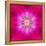 Purple Concentric Flower Center: Mandala Kaleidoscopic Design-tr3gi-Framed Stretched Canvas