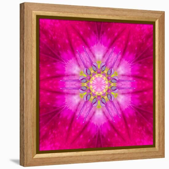 Purple Concentric Flower Center: Mandala Kaleidoscopic Design-tr3gi-Framed Stretched Canvas