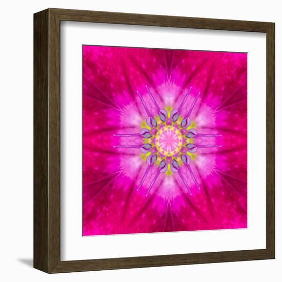 Purple Concentric Flower Center: Mandala Kaleidoscopic Design-tr3gi-Framed Art Print