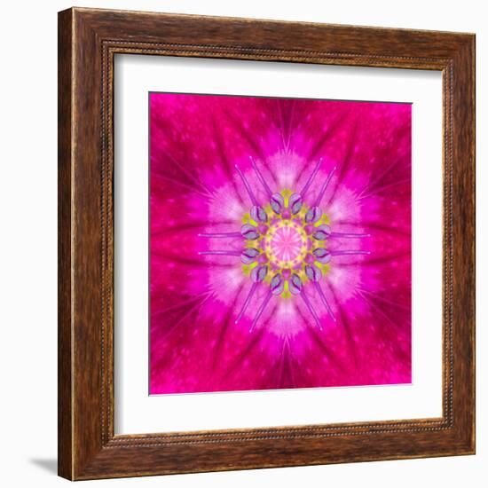 Purple Concentric Flower Center: Mandala Kaleidoscopic Design-tr3gi-Framed Art Print