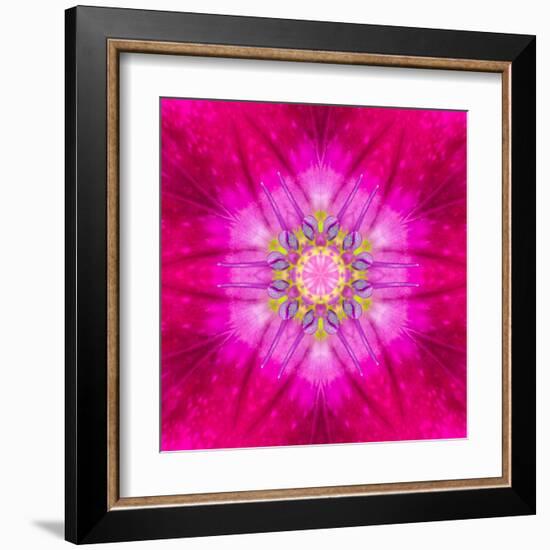 Purple Concentric Flower Center: Mandala Kaleidoscopic Design-tr3gi-Framed Art Print