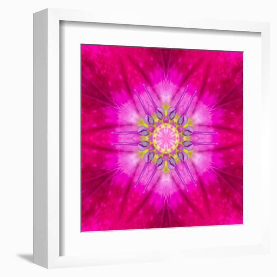 Purple Concentric Flower Center: Mandala Kaleidoscopic Design-tr3gi-Framed Art Print