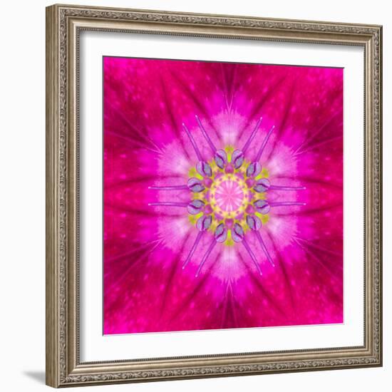 Purple Concentric Flower Center: Mandala Kaleidoscopic Design-tr3gi-Framed Art Print