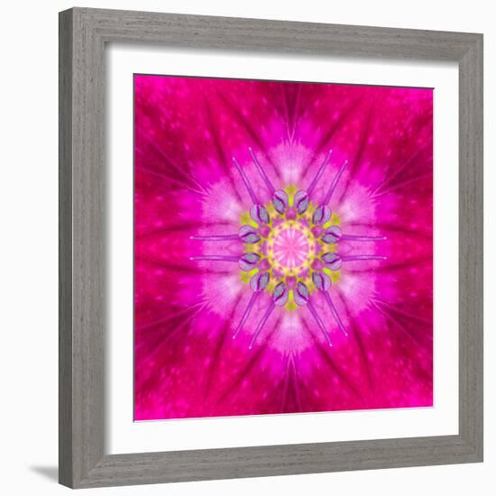 Purple Concentric Flower Center: Mandala Kaleidoscopic Design-tr3gi-Framed Art Print