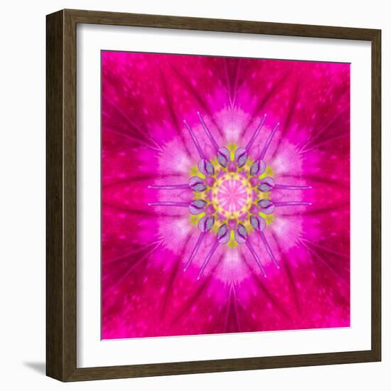 Purple Concentric Flower Center: Mandala Kaleidoscopic Design-tr3gi-Framed Art Print