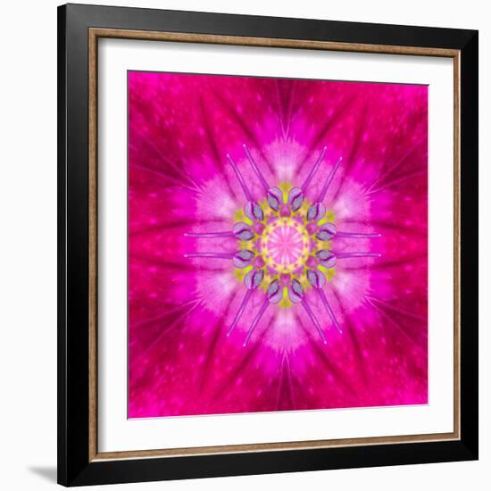 Purple Concentric Flower Center: Mandala Kaleidoscopic Design-tr3gi-Framed Art Print