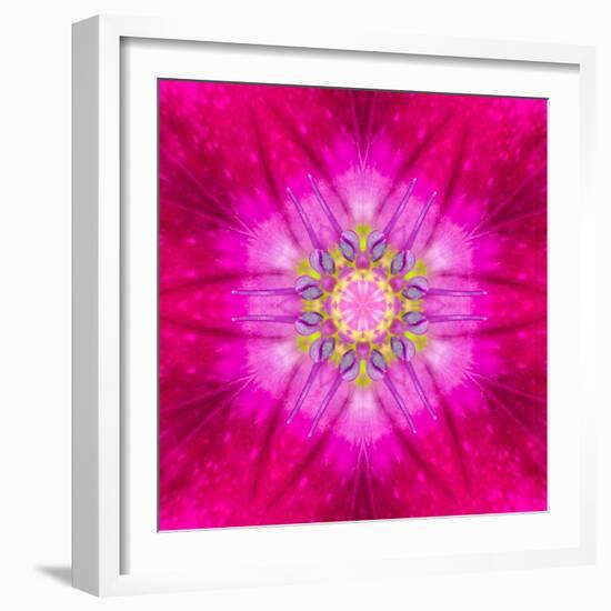 Purple Concentric Flower Center: Mandala Kaleidoscopic Design-tr3gi-Framed Art Print