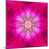 Purple Concentric Flower Center: Mandala Kaleidoscopic Design-tr3gi-Mounted Art Print