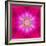 Purple Concentric Flower Center: Mandala Kaleidoscopic Design-tr3gi-Framed Art Print