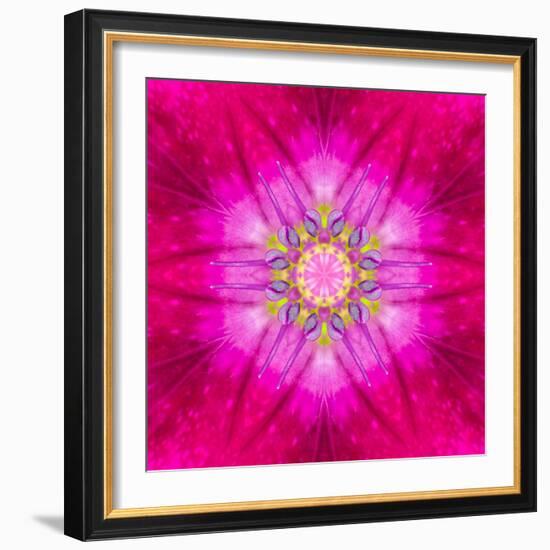 Purple Concentric Flower Center: Mandala Kaleidoscopic Design-tr3gi-Framed Art Print