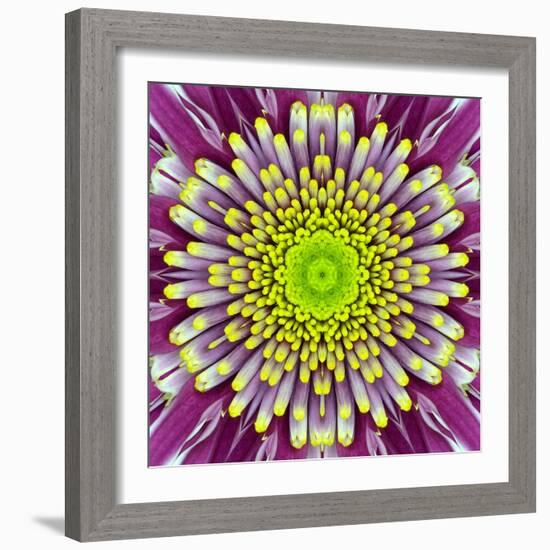 Purple Concentric Flower Center: Mandala Kaleidoscopic-tr3gi-Framed Art Print