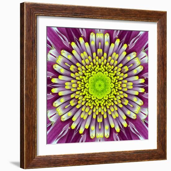 Purple Concentric Flower Center: Mandala Kaleidoscopic-tr3gi-Framed Art Print