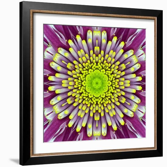 Purple Concentric Flower Center: Mandala Kaleidoscopic-tr3gi-Framed Art Print