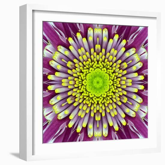 Purple Concentric Flower Center: Mandala Kaleidoscopic-tr3gi-Framed Art Print