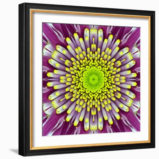 Purple Concentric Flower Center: Mandala Kaleidoscopic-tr3gi-Framed Art Print