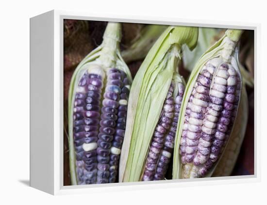 Purple Corn Displayed in Market, Cuzco, Peru-Merrill Images-Framed Premier Image Canvas