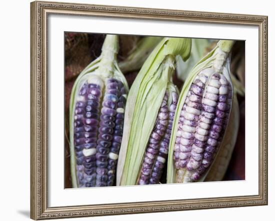 Purple Corn Displayed in Market, Cuzco, Peru-Merrill Images-Framed Photographic Print