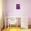 Purple Couple-Felix Podgurski-Framed Stretched Canvas displayed on a wall