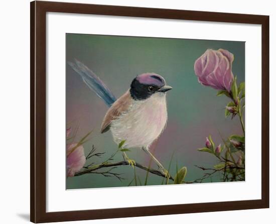 Purple Crowned Fairy Wren-Greg Farrugia-Framed Giclee Print