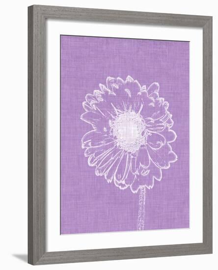 Purple Daisies II-Gail Peck-Framed Photo