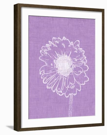 Purple Daisies II-Gail Peck-Framed Photo