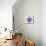 Purple Daisy-Christine Zalewski-Mounted Premium Giclee Print displayed on a wall