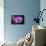 Purple Daisy-Ursula Abresch-Framed Premier Image Canvas displayed on a wall