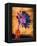 Purple Daisy-Robert Cattan-Framed Premier Image Canvas