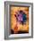 Purple Daisy-Robert Cattan-Framed Photographic Print