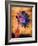 Purple Daisy-Robert Cattan-Framed Photographic Print