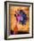 Purple Daisy-Robert Cattan-Framed Photographic Print