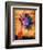 Purple Daisy-Robert Cattan-Framed Photographic Print