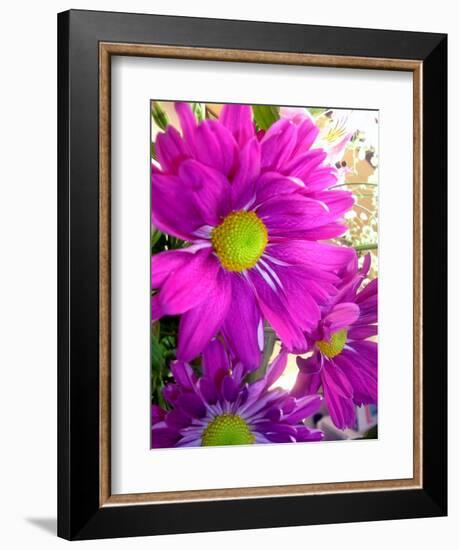 Purple Daisy-Ruth Palmer-Framed Art Print