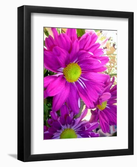 Purple Daisy-Ruth Palmer-Framed Art Print