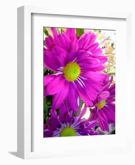 Purple Daisy-Ruth Palmer-Framed Art Print