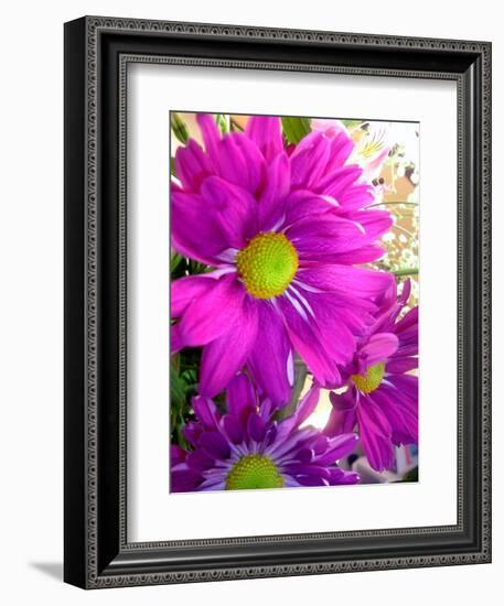 Purple Daisy-Ruth Palmer-Framed Art Print