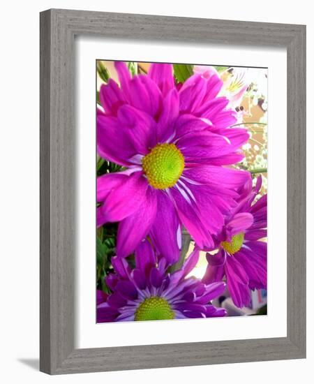 Purple Daisy-Ruth Palmer-Framed Art Print