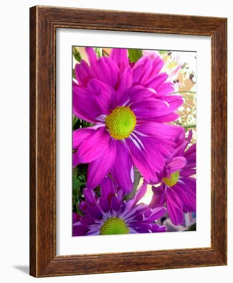 Purple Daisy-Ruth Palmer-Framed Art Print