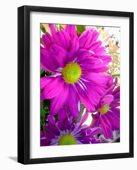 Purple Daisy-Ruth Palmer-Framed Art Print