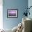 Purple Dawn-Doug Chinnery-Framed Photographic Print displayed on a wall