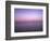 Purple Dawn-Doug Chinnery-Framed Photographic Print