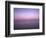 Purple Dawn-Doug Chinnery-Framed Photographic Print