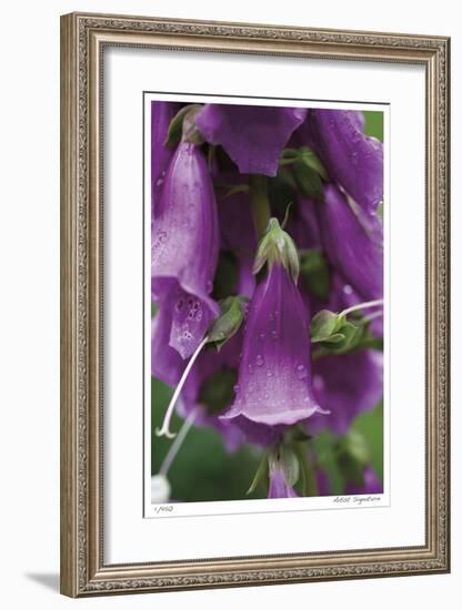 Purple Detail 2-Stacy Bass-Framed Giclee Print