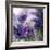 Purple Dream I-Mindy Sommers-Framed Giclee Print