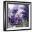 Purple Dream I-Mindy Sommers-Framed Giclee Print