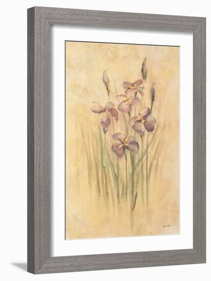 Purple Dream Irises-Cheri Blum-Framed Art Print