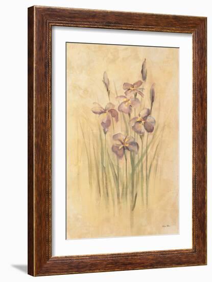 Purple Dream Irises-Cheri Blum-Framed Art Print