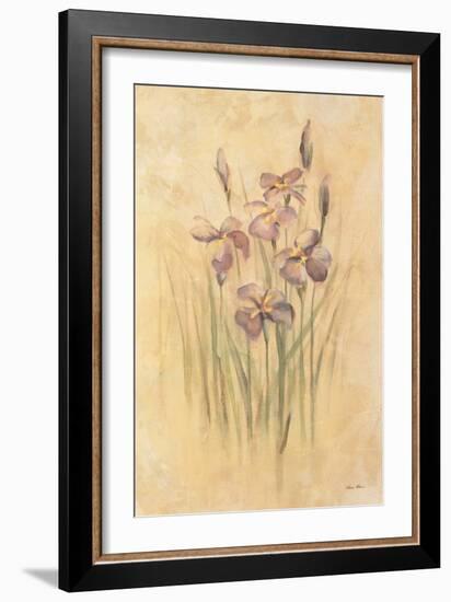 Purple Dream Irises-Cheri Blum-Framed Art Print