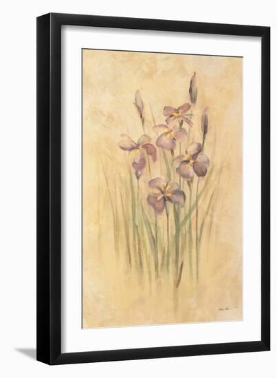 Purple Dream Irises-Cheri Blum-Framed Art Print
